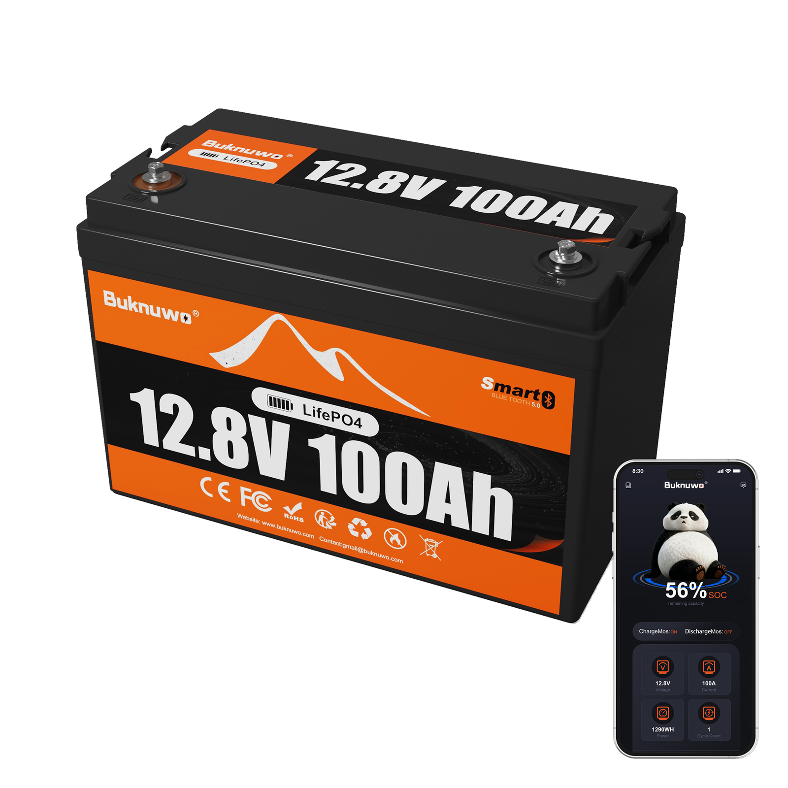 12V 100Ah Smart Bluetooth LiFePO4 Battery