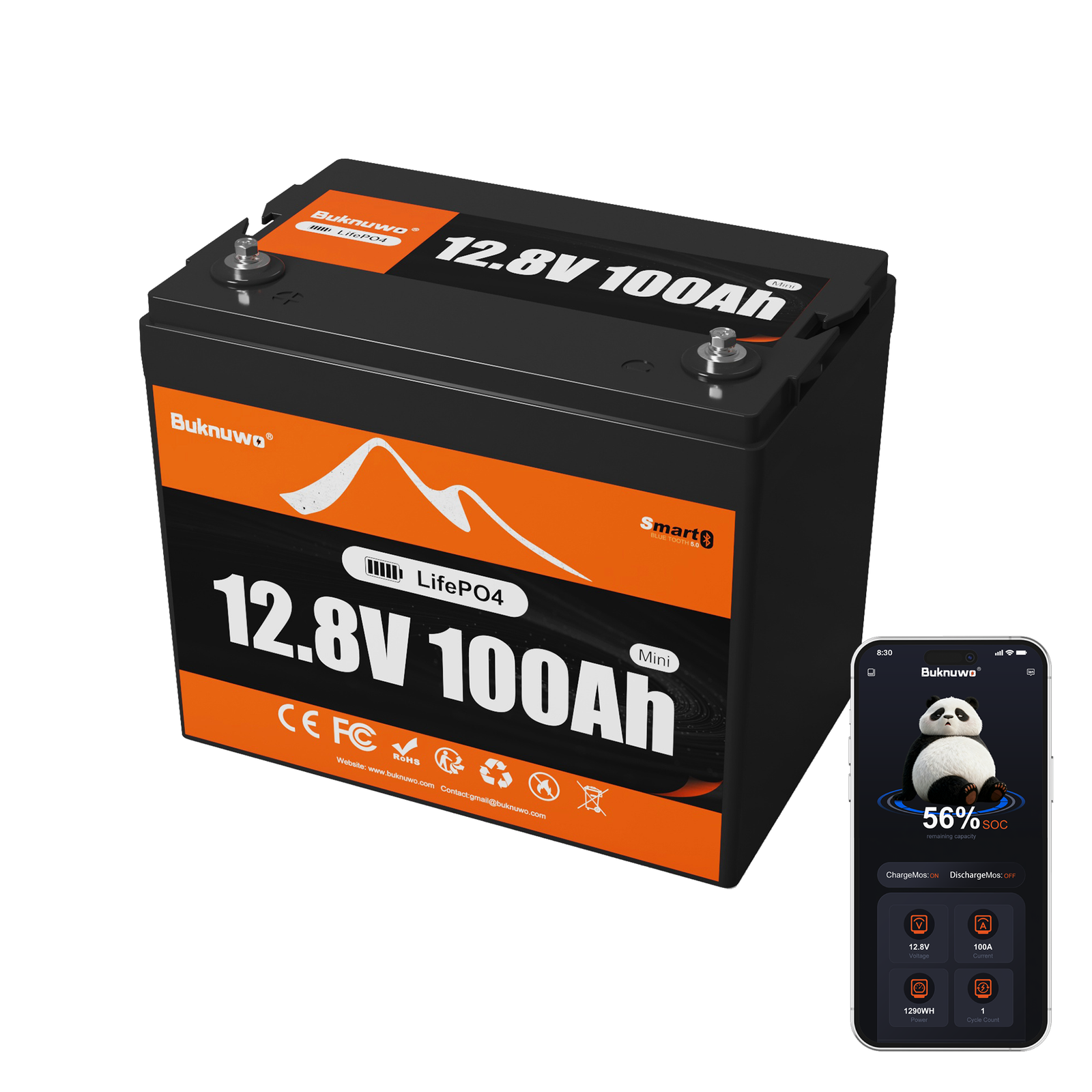 12V 100Ah Mini Smart Bluetooth LiFePO4 Battery