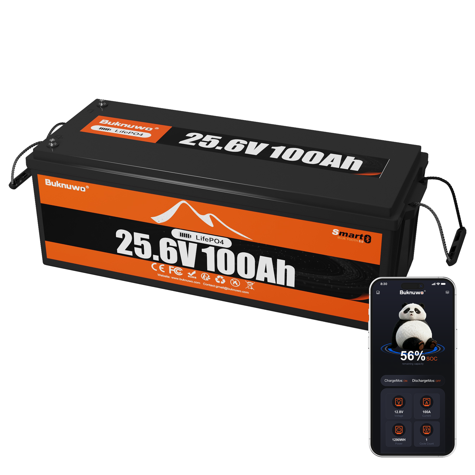 24V 100Ah Smart Bluetooth LiFePO4 Battery