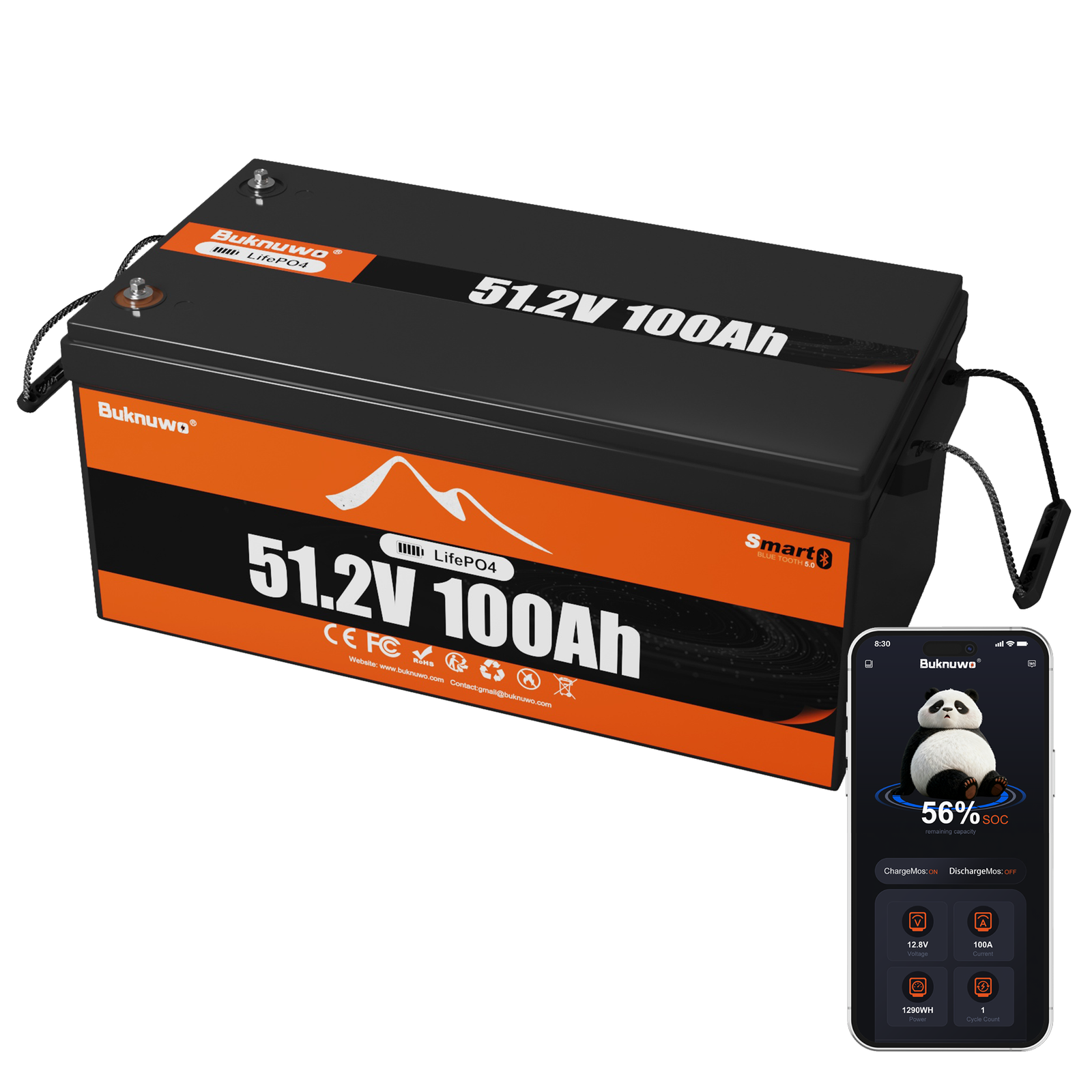 51.2V 100Ah Smart Bluetooth LiFePO4 Battery (48V Server Rack)