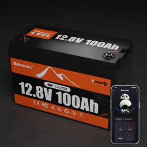 Smart 12V/12.8V 100Ah Bluetooth LiFePO4 Lithium Battery, 1280Wh Power Energy with Low-Temp Protection