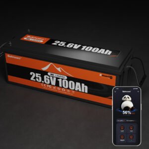 Smart 25.6V 100Ah Bluetooth LiFePO4 Lithium Battery, 2560Wh Power Energy with Low-Temp Protection